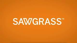 Quick Tip -- Color Settings in  the Sawgrass Print Utility