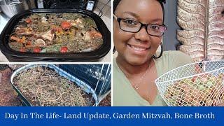 Day In The Life-  Land Update, Garden Mitzvah, Bone Broth