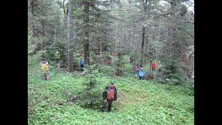 The Lake Superior Copper Mystery | Isle Royale |