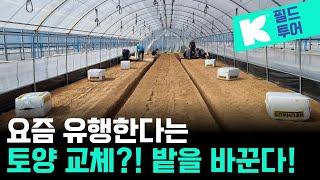 밭을 바꾼다고?! 내 하우스 토양에 문제가 많을 때 사용하는 새로운 방법?! _ 클라스만데일만 #클라스만 #클라스만데일만 #프렉션피트 #토양교체