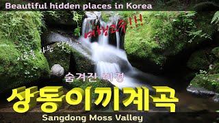 영월 상동이끼계곡 - 숨겨진 비경 / 3대 이끼계곡  Beautiful hidden places in Korea - Sangdong moss valley in Youngwall