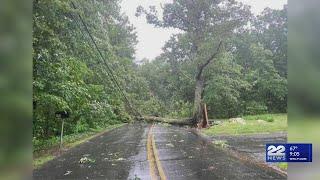 Several rescued in Hampden after tree falls on car