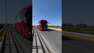 Ado #autobuses#autobusesmexicanos#bus#ado#buses#viral#auto#conductor#au#shorts#busologia#youtube