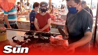 Bats, rats and dogs on sale at Indonesian wet market despite fears they caused coronavirus