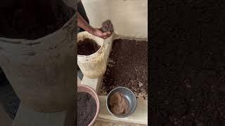 How we are using waste to create wealth at Bempet Organic Farm