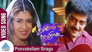 Poovukellam Siragu Video Song | Uyirodu Uyiraga Songs | Ajith | Vidyasagar | Pyramid Glitz Music