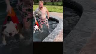 Pool Time Is not Over! #reaction #vtuber #dailydose #clips #animalshorts