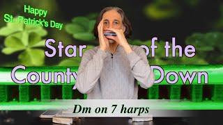 How to Play This Irish Song in Dm on 7 Harps | Star of the County Down | Howard Levy Harmonica