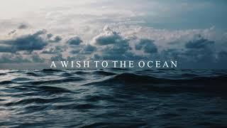 A Wish to the Ocean - Beautiful Piano Song with Calming Sound of the Waves ｜BigRicePiano