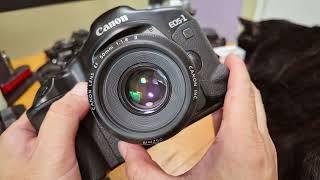 Canon EOS-1 V Review: Still relevant in 2025?