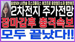 [2차전지] [LG엔솔 에코프로 포스코홀딩스 금양 삼성SDI  엘앤에프 주가전망] 장마감후 충격속보모두 다끝났다! 영상 곧 삭제됩니다! 빠른시청바랍니다.