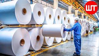 How PAPER Is Made | Paper Factory