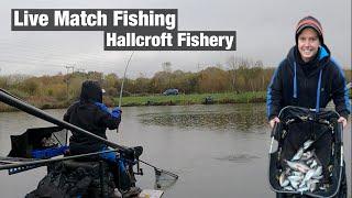 Live Match Fishing - Hallcroft Fishery Teams of 4 Croft Lake