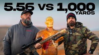 Is 5.56 LETHAL At 1,000 Yards?