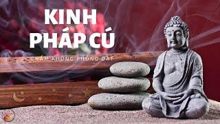 KINH PHÁP CÚ_ PHẨM KHÔNG PHÓNG DẬT (Diễn đọc + Có chữ).