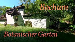 Bochum - Botanischer und Chinesischer Garten Tropenhaus Tour mit Kerstin für Kinder