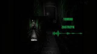 Tomini - Zastrzyk (Official Audio)