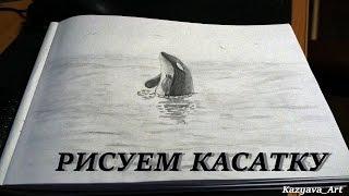 Как нарисовать касатку в море карандашом. How to draw a killer whale