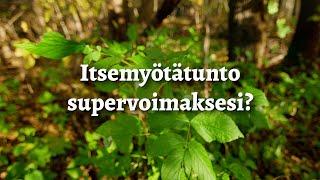 Itsemyötätunto supervoimaksesi?