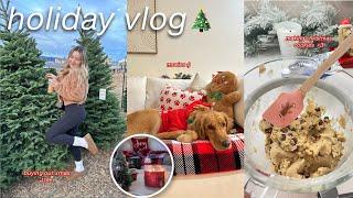 the ULTIMATE holiday vlog ️ | baking cookies, real christmas tree, vlogmas 2023