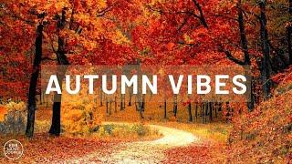 Autumn Music Mix Chill Out Slow Jazz Lounge |Smooth Background Music Instrumental | EDB Music Lounge