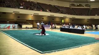 2011 USAWKF National Wu Shu Team Trials Men's Tai Chi Jian 2