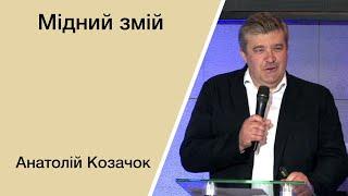 Мідний змій - Анатолій Козачок