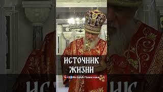 Источник жизни | еп. Августин (Анисимов)