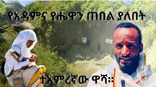 ቤዛዊት፡ማርያም፡ቦሌ፡አራብሳ።