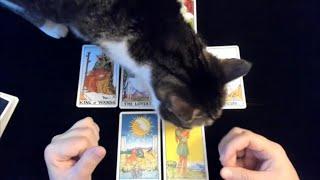 Will BRICS damage the U.S. economy?  Tarot Reading