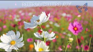 Menachem Av: Perceiving Truth, the Rule of Mercy, and Discovering Sonship