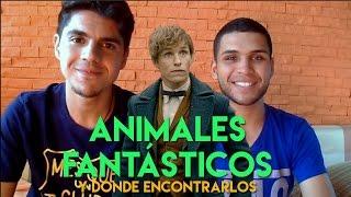 OPINIÓN ANIMALES FANTÁSTICOS | EL RINCÓN CINÉFILO |