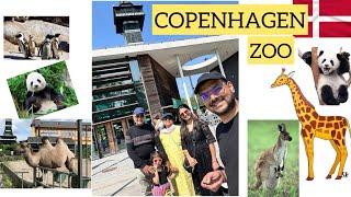 COPENHAGEN ZOO,DENMARK | Cow in the zoo? BEST ZOO I HAVE EVER VISITED Complete 4K Video #marathi