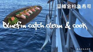 Bluefin catch clean and cook - chutoro nigiri sushi / 蓝鳍金枪鱼寿司