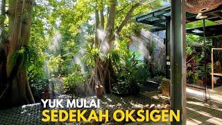 Niat Bikin Perumahan Malah Jadi Hutan