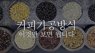 커피 가공 방식 이것만 보면 어디가서 무시 안당합니다