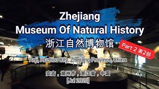 158 [Zhejiang Museum Of Natural History - Part 2] [浙江自然博物馆 - 第2部]