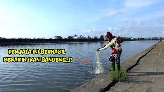 NEKAT JALA IKAN BANDENG DI SUNGAI BESAR SENDIRIAN