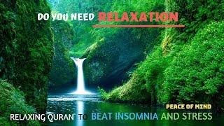 Quran for Stress Relief and Sleep - Fahad Aziz Niazi Compilation