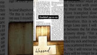  Read Ezekiel 34:11-12 With Me | POWERFUL  #shorts #bibleverse #readwithme