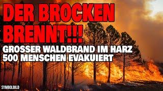 Der Brocken brennt!!! - Großer Waldbrand im Harz