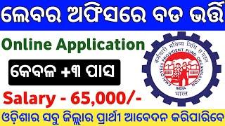 Labour Office Recruitment 2024 ! New Labour Office Govt Jobs 2024 ! Odisha Latest Govt Job Alert