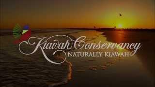 The Kiawah Conservancy's 2015 Loggerhead Sea Turtle Documentary