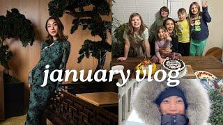 january vlog - LA wildfires, toronto, my birthday... I GOT ROBBED!!