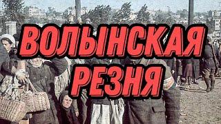 Волынская резня