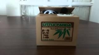 Panda money box