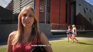 UWA New Courses - Student views