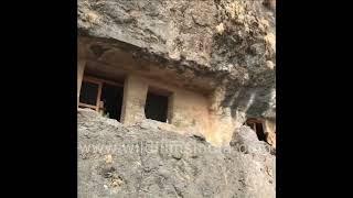 Top 5 Lesser-known Ancient Caves of India #indianhistory #ancient