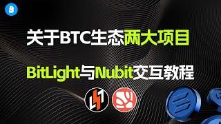 关于比特币BTC生态两大项目合集 BitLight与Nubit测试网交互教程 以及galxe任务