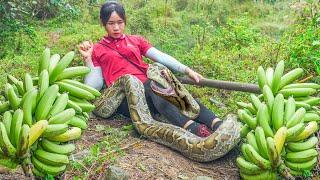 A bad day - Attacked by a Giant PYTHON While Harvesting bananas Go to the market to sell